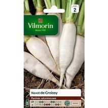 Graines Navet Légume Demi Long de Croissy - VILMORIN