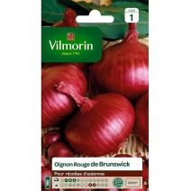 Graines Oignon Rouge de Brunswick - VILMORIN