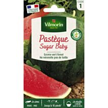 Graines Pastèque Sugar Baby - VILMORIN