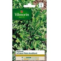 Graines Pissenlit à Cœur Plein Amélioré - VILMORIN