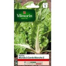 Graines Poirée Blonde à Carde Blanche 2 - VILMORIN