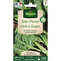 Graines Poirée Verte à Couper - VILMORIN