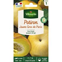 Graines Potiron Jaune Gros de Paris - VILMORIN