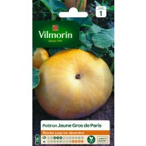 Graines Potiron Jaune Gros de Paris - VILMORIN