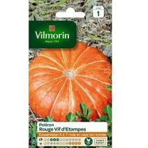 Graines Potiron Rouge Vif d'Etampes - VILMORIN