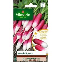Graines Radis de 18 Jours - VILMORIN