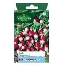 Graines Radis Flamboyant 5 - VILMORIN