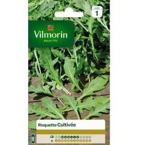 Graines Roquette Cultivée - VILMORIN