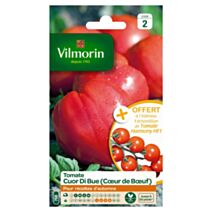Graines Tomate Coeur de Bœuf - VILMORIN