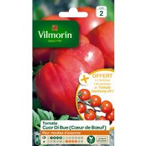 Graines Tomate Coeur de Bœuf - VILMORIN