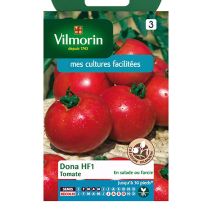 Tomate Dona HF1