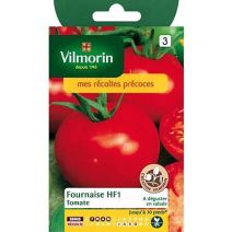 Graines Tomate Fournaise HF1 - VILMORIN