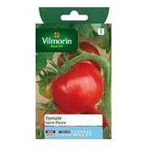 Graines Tomate Saint Pierre - VILMORIN