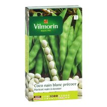 Haricot coco nain blanc précoce, nain à écosser, série 1 Vilmorin