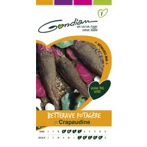 Graines Betterave Potagère Crapaudine - GONDIAN