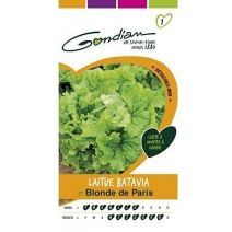 Graines Laitue Batavia Blonde de Paris - GONDIAN