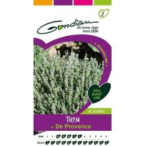 Graines Thym de Provence - GONDIAN