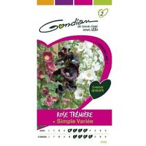Graines Rose Trémiere Simple Varié - GONDIAN
