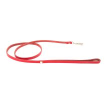 Laisse rive mousqueton carabine rouge