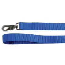Laisse bleu nylon 60cm XL