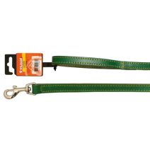 LAISSE PIQUE SIMPLE VERT CROUTE 16MM/1M