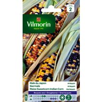 Graines Maïs du Japon Arlequin - VILMORIN