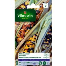 Graines Maïs du Japon Arlequin - VILMORIN