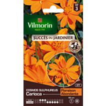 Graines Cosmos Sulphureus Carioca - VILMORIN