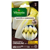 Graines Chicorée Witloof Crénoline HF1 - VILMORIN