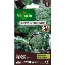 Graines Chou Brocoli Verdia HF1 - VILMORIN