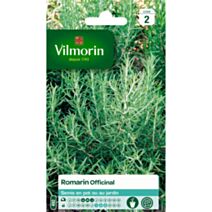 Graines Romarin Officinal - VILMORIN
