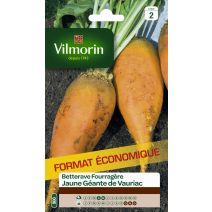Graines Betterave Fourragère Géante Jaune de Vauriac - VILMORIN
