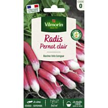 Graines Radis Pernot Clair - VILMORIN