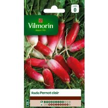 Graines Radis Pernot Clair - VILMORIN