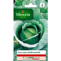 Graines Chou Blanc de Brunswick - VILMORIN