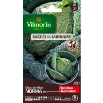 Graines Chou de Milan Norma HF1 - VILMORIN