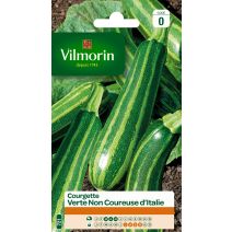 Graines Courgette Verte Non Coureuse d'Italie - VILMORIN