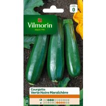 Graines Courgette Verte Noire Maraîchère - VILMORIN