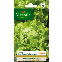 Graines Laitue Batavia Dorée de Printemps - VILMORIN