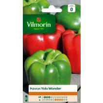 Graines Poivron Yolo Wonder - VILMORIN