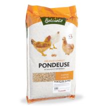 Mélange complet de graines Poule Pondeuse Super 20kg - BELCANTO