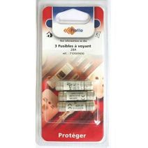 FUSIBLE VOYANT 20A 10.3X38 X3