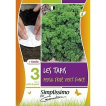Graines Ruban de Graines Persil Frisé Vert - GONDIAN