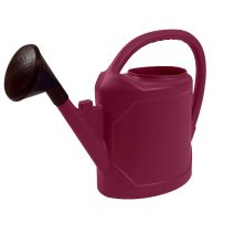 Arrosoir ovale avec pomme 6 L PRUNE
