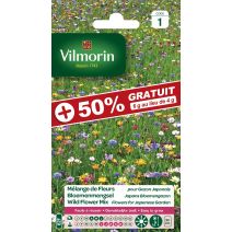 Graines Mélange de Fleurs Gazon Japonais - VILMORIN