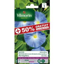 Graines Ipomée Géante Bleue - VILMORIN