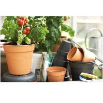 Pot plastique 11cm Green Basics noir - ELHO