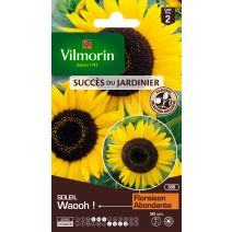 Graines Tournesol Waooh! - VILMORIN