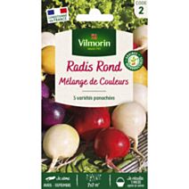 Graines Radis Ronds Mélange de Couleurs - VILMORIN