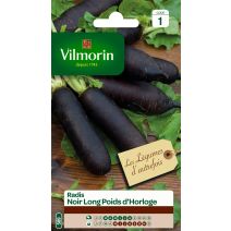 Graines Radis Noir Long Poids d'Horloge - VILMORIN